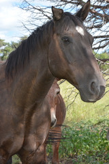 Obraz premium Floppy