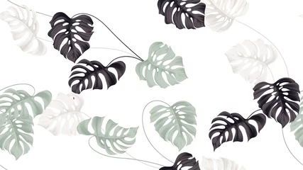 Poster Floral seamless pattern, green, black and white split-leaf Philodendron plant on white background, pastel vintage theme © momosama