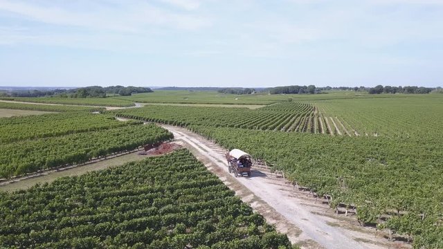 Horse and Carriage Moving Along Trail From Behind in Agricultural Area. 4k Aerial Drone Moves Towards Cart, Vineyards, Farm and Roads in Loire Valley of France