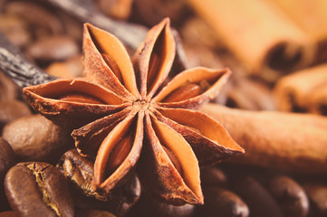 Vintage photo, Closeup of anise, vanilla, cinnamon sticks and coffee grains