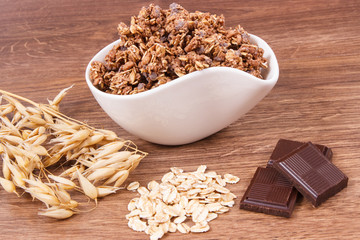 Oat flakes with chocolate as source iron and fiber, healthy snack concept
