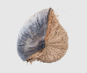 coconuts isolated on gary background clipping path