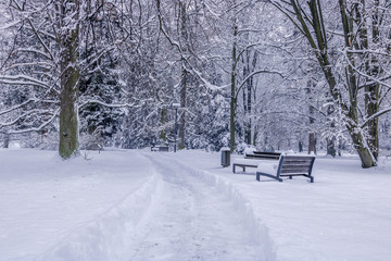 Couple bench fully covered in snow during winter time