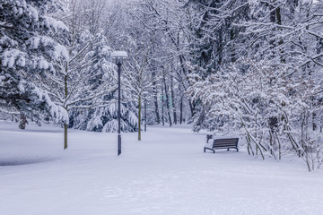 Park in city covered in new snow in start of January