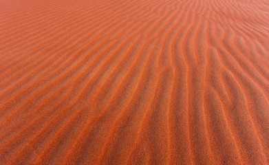 desert dunes in the sand at sunset