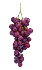 fresh red grape isolated on white background