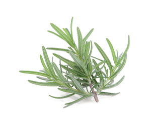 rosemary isolated on white background