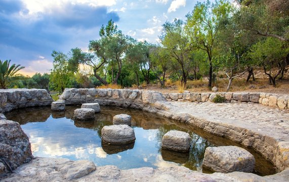 Ayalon Canada park background