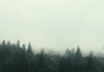 Papier Peint photo autocollant Colline Vue pittoresque sur la forêt de montagne couverte de brouillard
