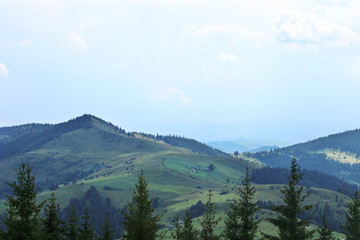 Beautiful landscape with forest and mountain slopes