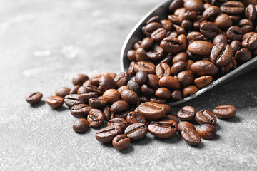 Scoop with roasted coffee beans on grey background, closeup