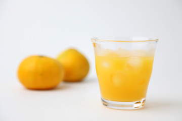 温州 みかん ミカン オレンジジュース 白背景