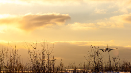 Obraz premium On a snowy winter evening, a jet plane lands at Sheremetyevo Airport in Moscow, Russia