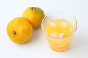 温州 みかん ミカン オレンジジュース 白背景