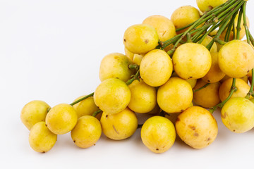 Ripe yellow baccaurea ramiflora on white background