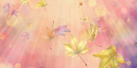 Flying Autumn Leaves