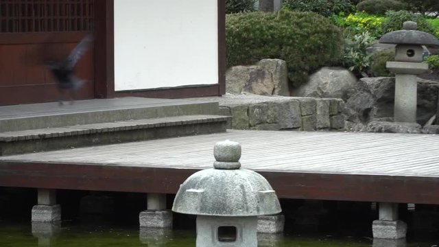 Bird shitting on a japanese sculpture at the japanese garden in Planten un Bloomen in Hamburg City.