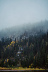 Autumn landscape: fog over the river in the autumn forest, top view. Wilderness.