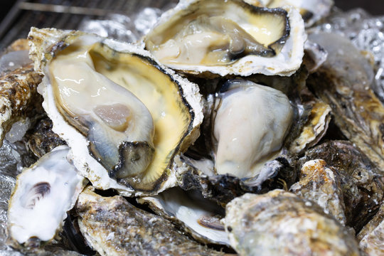 Prepare fresh Oyster for grill on grill which has fire in stove ancient  Thai style  in the kitchen .Prepare fresh Oyster for grill on grill which has fire in stove ancient  Thai style  in the kitchen