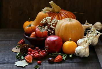 autumn still life with pumpkins and berries