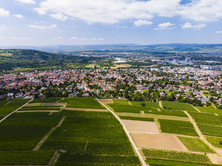 Deutschland, Rheinland-Pfalz. Ingelheim am Rhein , Blick über Weinberge auf Ingelheim am Rhein,  Luftbild