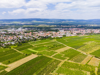 Fototapeta na wymiar Deutschland, Rheinland-Pfalz. Ingelheim am Rhein , Blick über Weinberge auf Ingelheim am Rhein, Luftbild