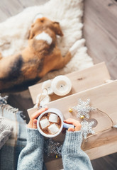 Woman hands with cup of hot chocolate close up image  cozy home  sleeping dog  christmas time
