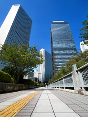 Fototapeta premium 新宿の高層ビル街