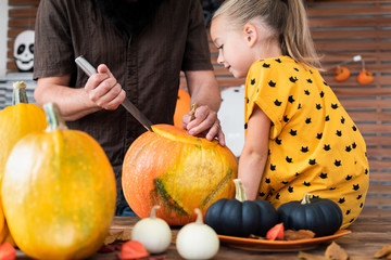 Fototapeta premium Cute young girl sitting on kitchen table, helping her father to carve large pumpkin. Halloween family lifestyle background.