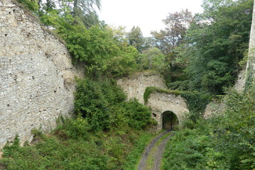 Fototapeta na wymiar Portal zur Burgruine Landsee