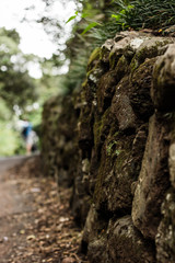 lava rock wall