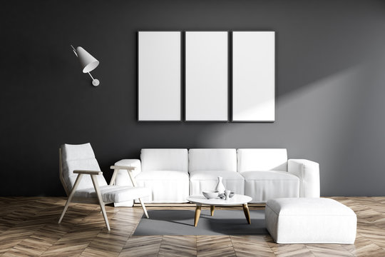 Gray living room poster gallery, sofa