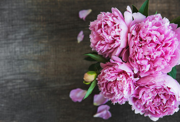 Pink peony flowers © Olena Rudo