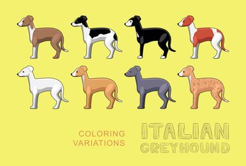 Dog Italian Greyhound Coloring Variations Vector Illustration