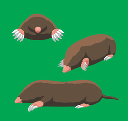 Mole Blind Green Background Poses Cartoon Vector Illustration