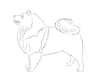 dog stands, lines, vector