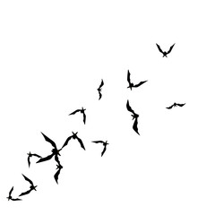 Halloween background with black bats on white. Halloween party card background template. black flying bats.