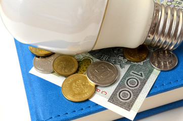 Żarówka i polskie pieniądze