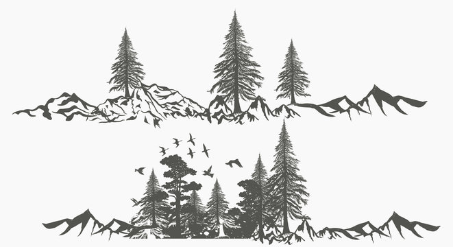 Collection of vector forest borders with mountains for design