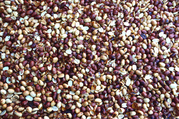 Roasted peanuts, thai style