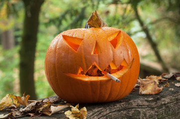 closeup of halloween pumpkin with cigarette in the autumnal forest