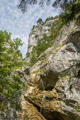 A beautiful landscape of cliffs in forest in Low Tatra region. Sunny day, colorful scenery in Slovakia, Europe.