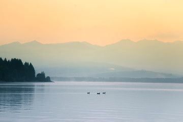A beautiful morning landscape with ducks swimming in the mountain lake with mountains in distance. Sunset scenery in light colors. Birds in natural habitat. Tatra mountains in Slovakia, Europe.