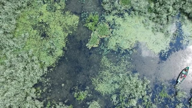 Aerial view of a swamp