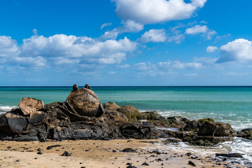 Frosch aus Stein an K&uuml;ste vor Meer