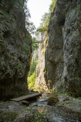 A beautiful hiking trail in Low Tatra region in Slovakia. Walking path in mountains and forest. Summer landscape.