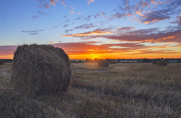 Hay bales on the field after harvesting illuminated by the last rays of setting sun. 