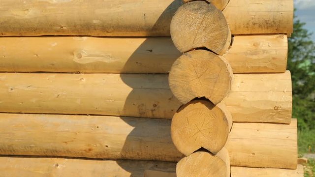 Wooden timberwork in forest