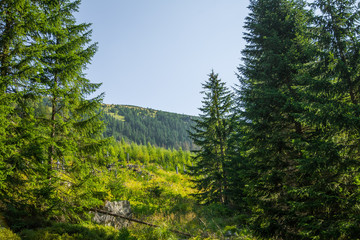 A beautiful summer landscape in mountains. Natural scenery in mountains, national park. Tatra mountains in Slovakia, Europe.
