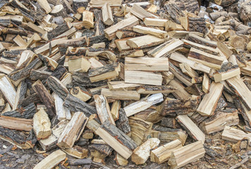 A pile of firewood